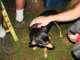 bucketmantributeparty070_small.jpg