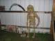 bucketmantributeparty079_small.jpg
